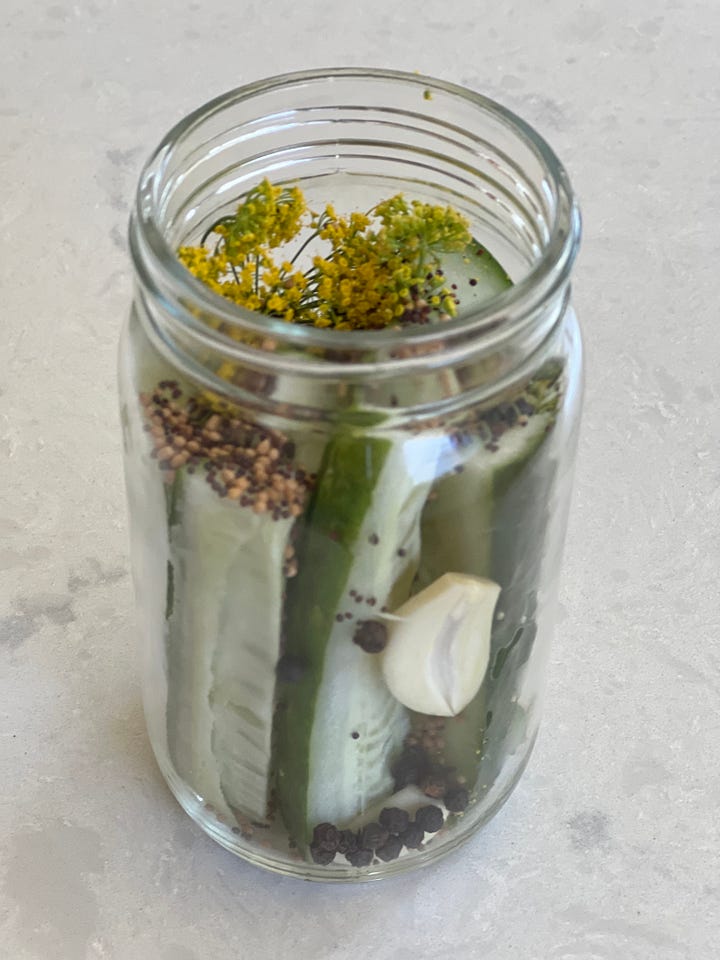 Homemade dill pickles