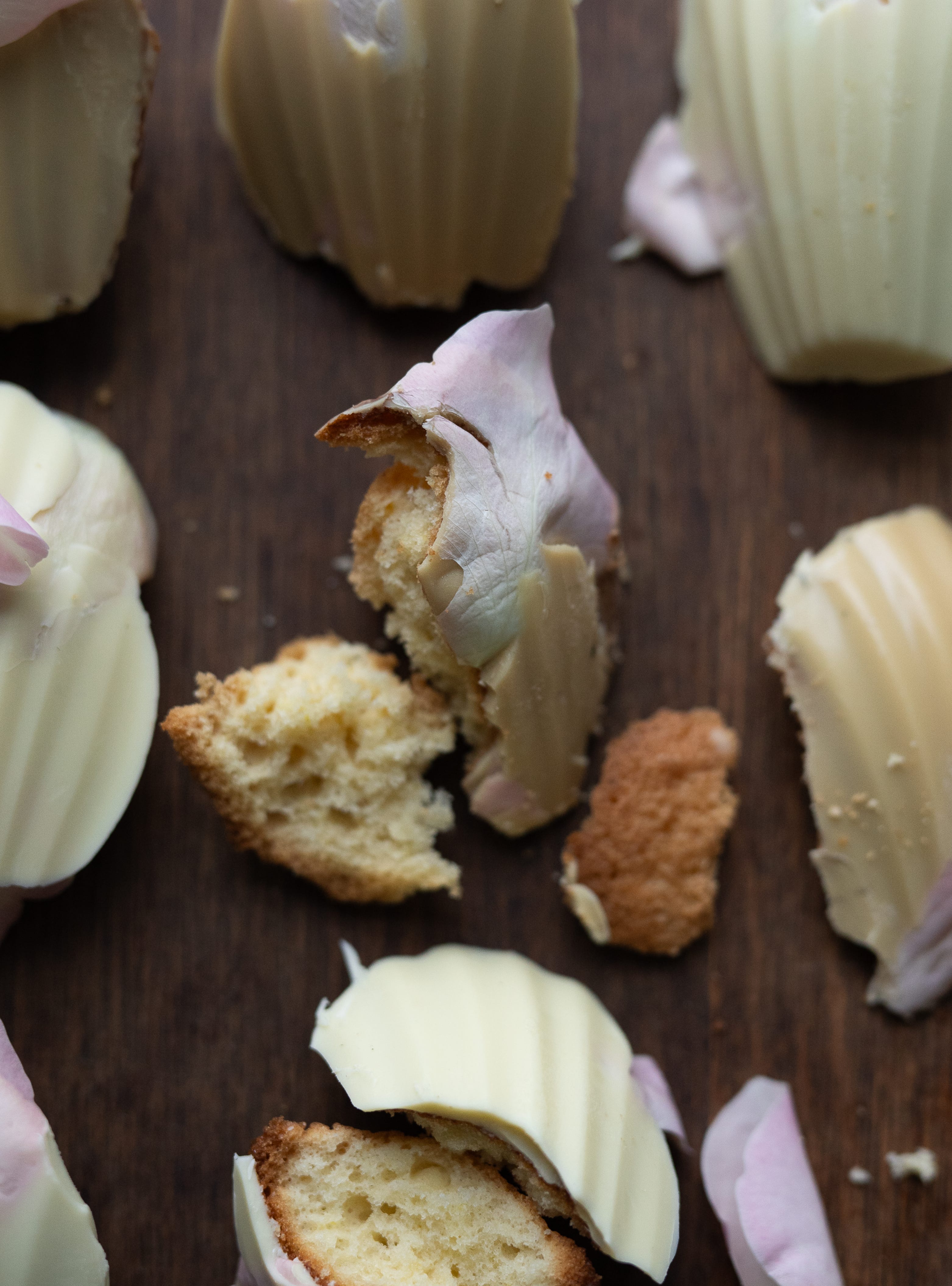 The many lives of a madeleine - by Sarah Stanback-Young