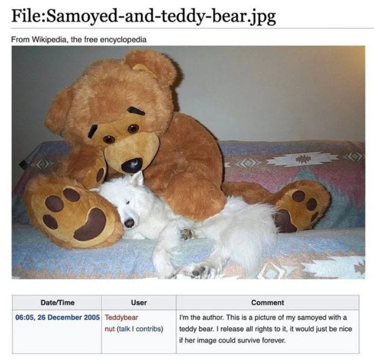Võib olla pilt järgmisest: tekst sisuga: File:Samoyed-and-teddy-bear.jpg From Wikipedia, the free encyclopedia Date/Time User 06:05, 26 December 2005 Teddybear nut (talk contribs) Comment 'm the author. This S picture of my samoyed with a teddy bear. release rights oi would just be nice her image could survive forever.
