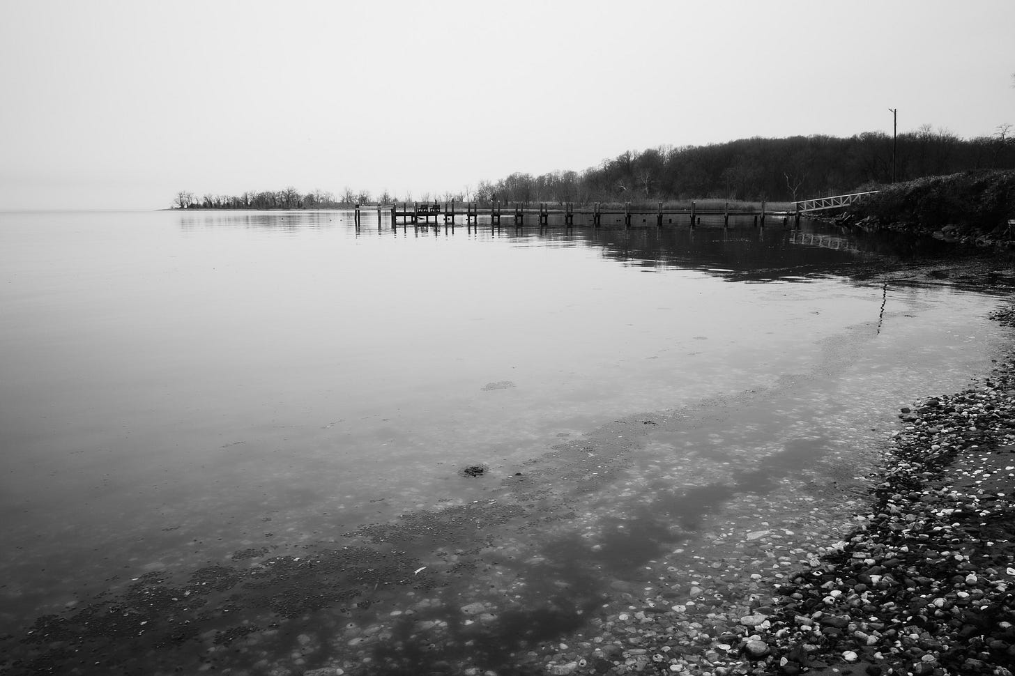 Our local harbor on a foggy day