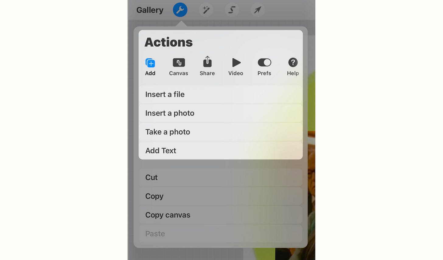 Insert your photos