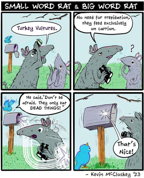 Big Word Rat looks in the sky with binoculars at large birds flying. Turkey Vultures. Small Word Mouse looks concerned as Big Word Mouse explains that Turkey Vultures eat dead things only. The blue bird translates into small words. Small Word Rat dashes into the mailbox and shuts the door. That's Nice! says Small Word Rat from inside the box.