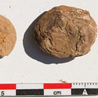 Anthropology.net