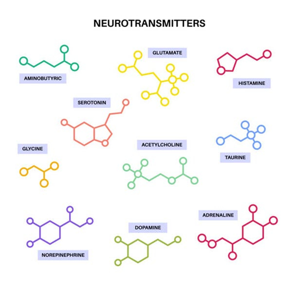 neurotransmitters