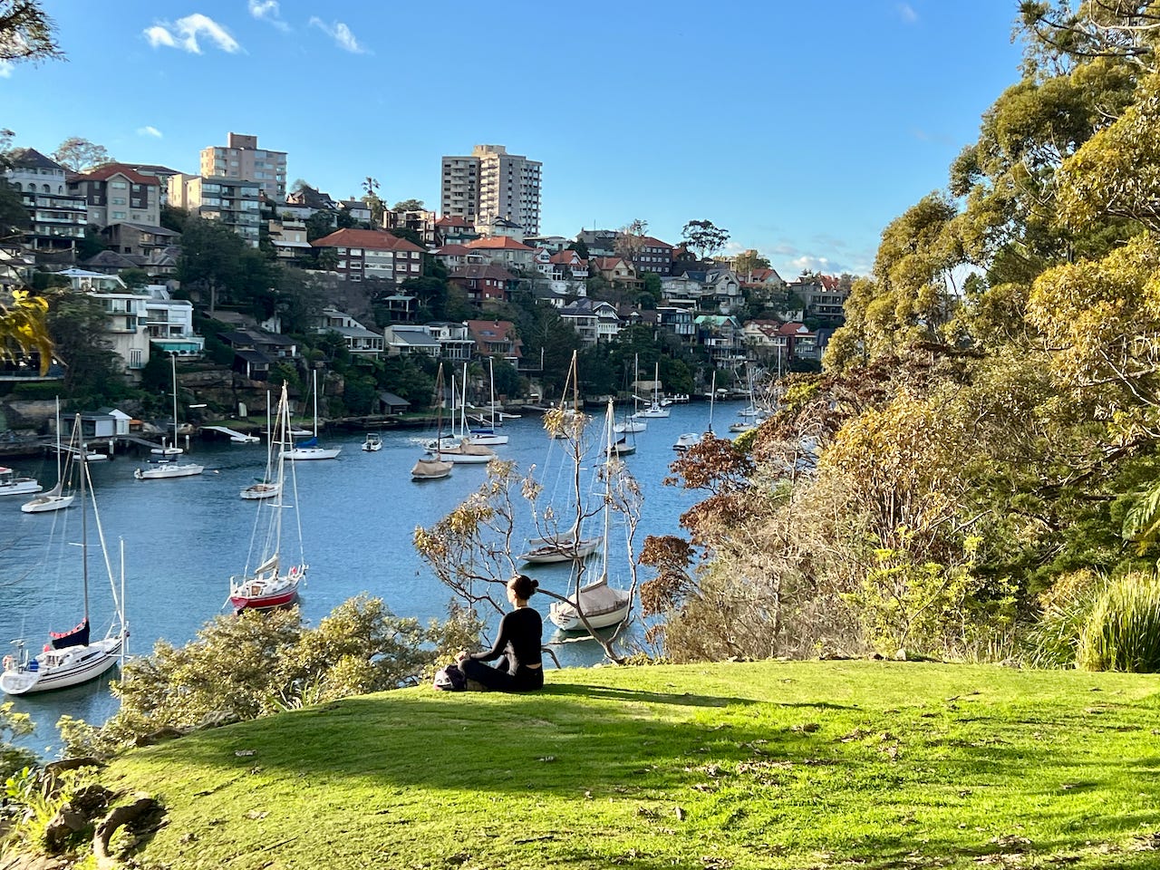 The Reflective Habit of Gratitude 🦘