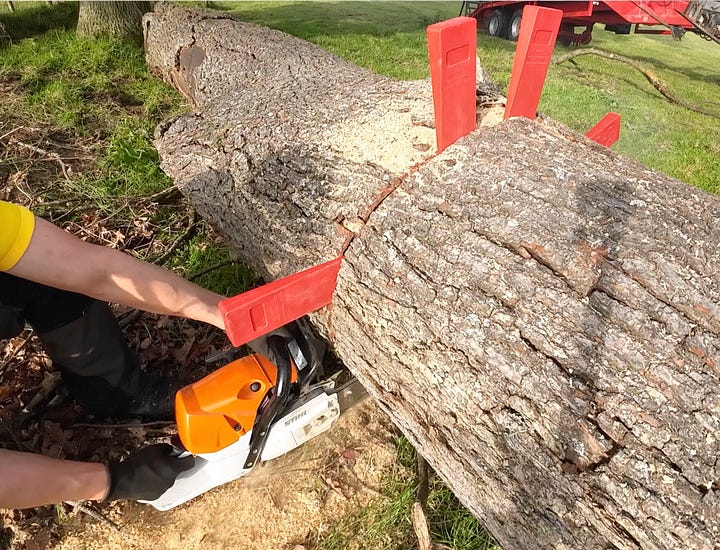 Biggest cross cut I've ever made. Cutting the log in half. I actually did measure twice and cut once here.