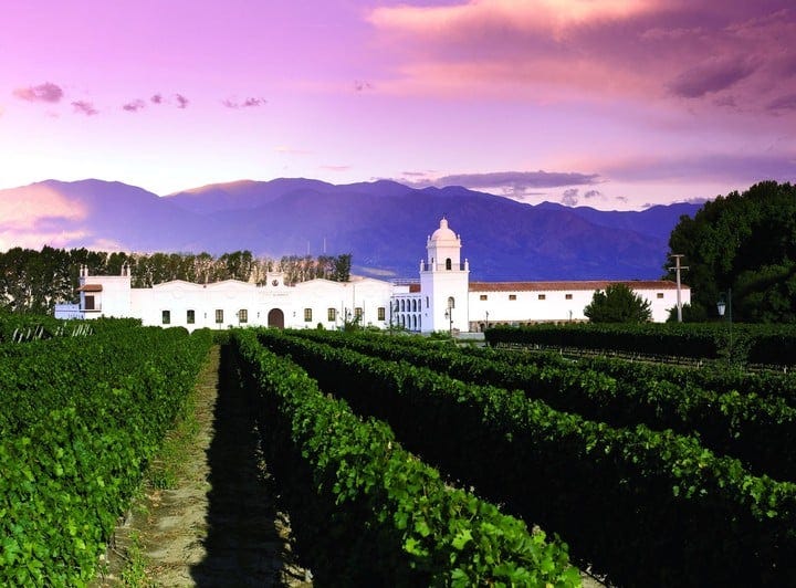 Cafayate: el pueblo entre viñedos, montañas y cardones de los Valles  Calchaquíes