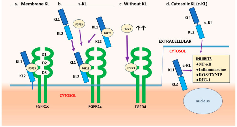 Figure 1 Figure 1