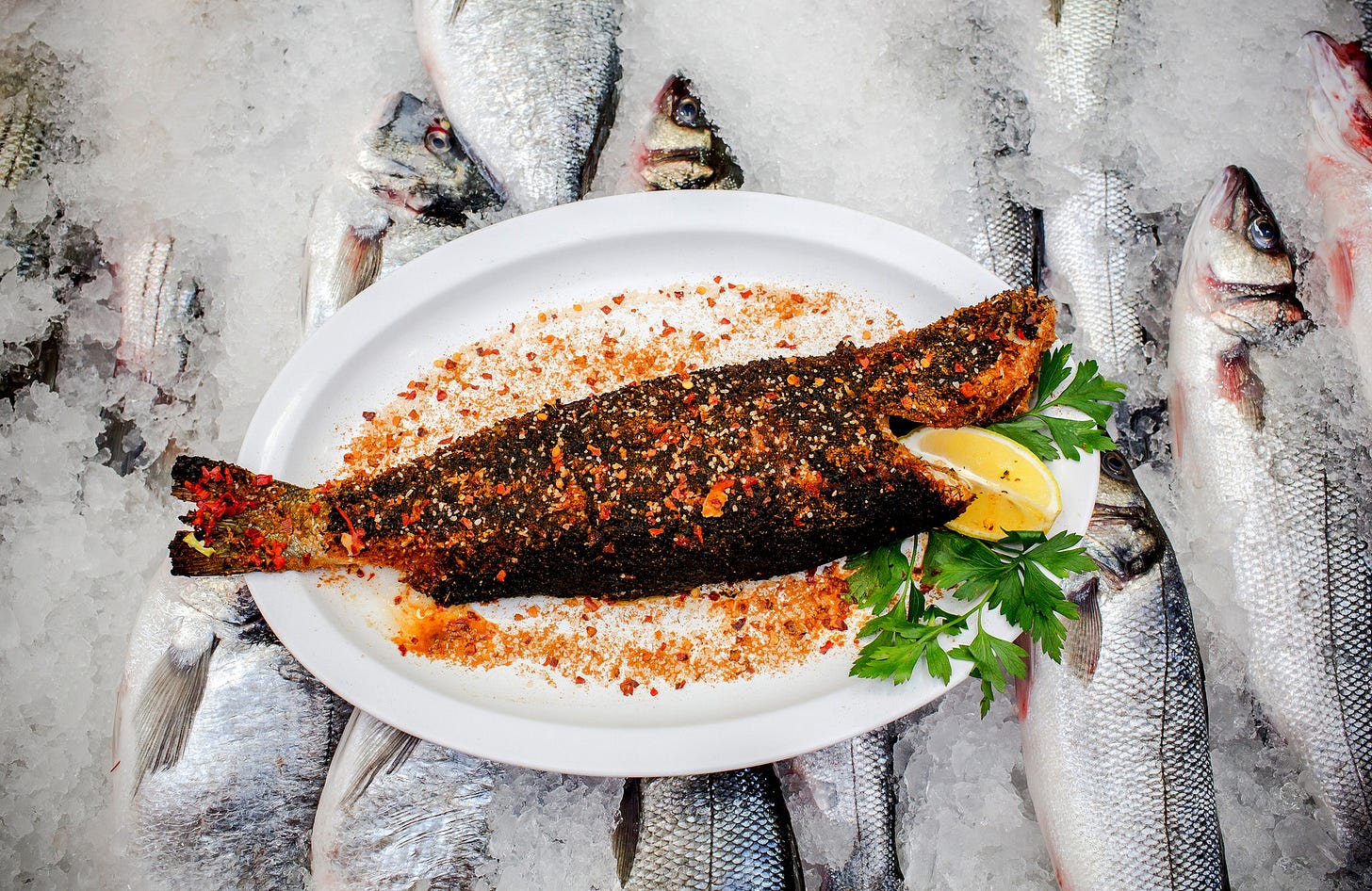 In Queens, Star Treatment for Seafood - The New York Times