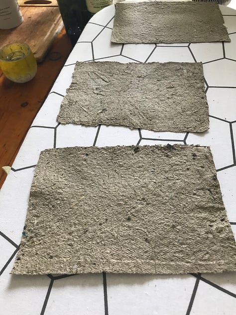 Paper making goat poo art craft -