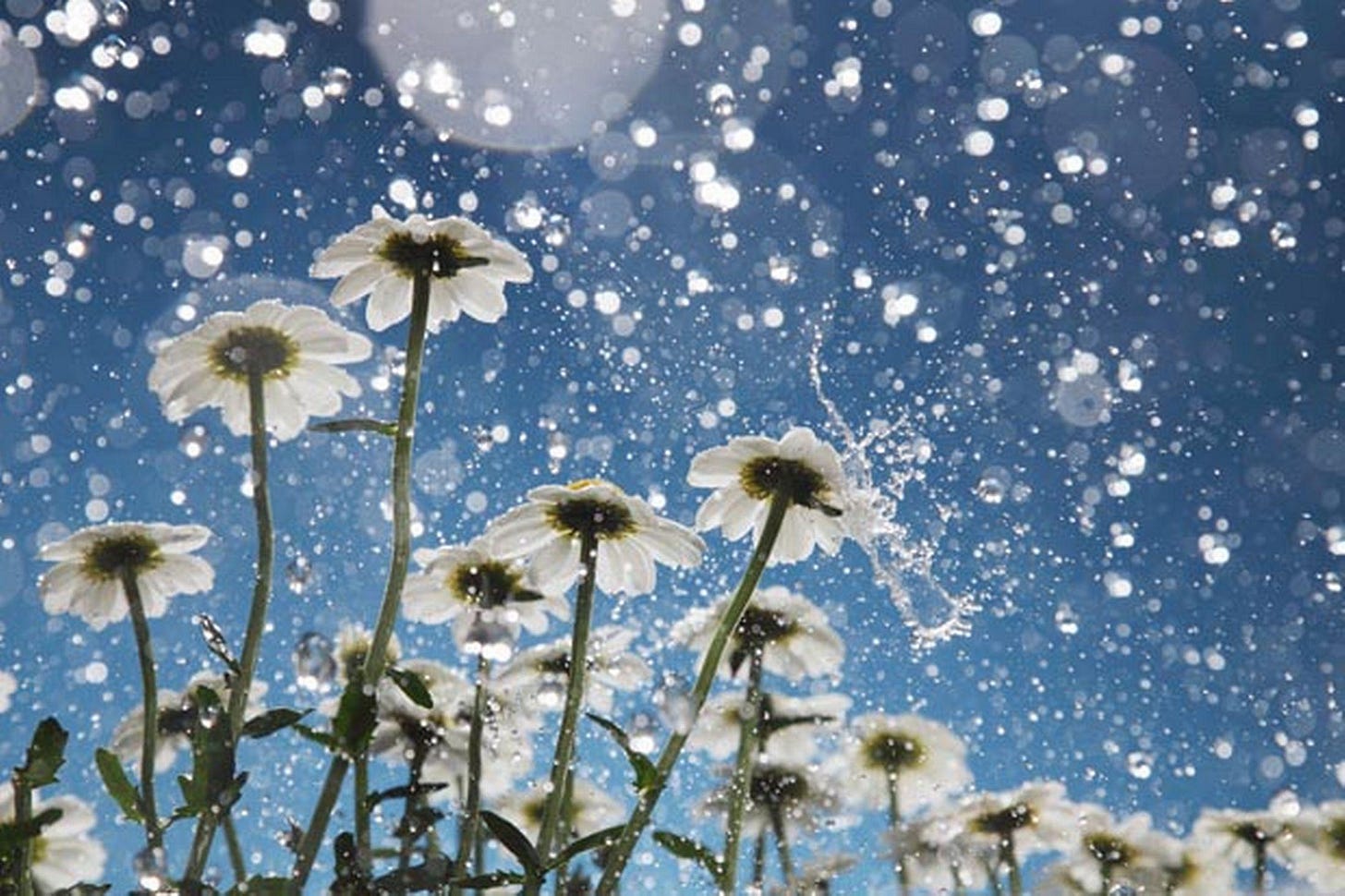 April Showers Wallpapers - Top Free April Showers Backgrounds ...