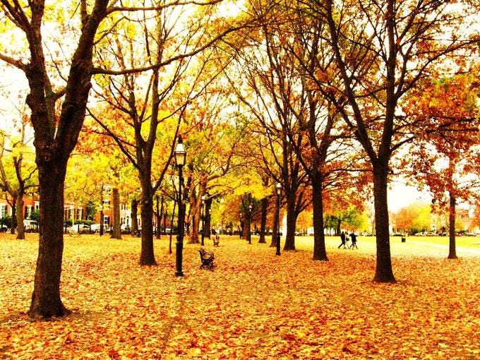 Salem Common Salem Common