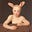 Archival Aardvark's avatar