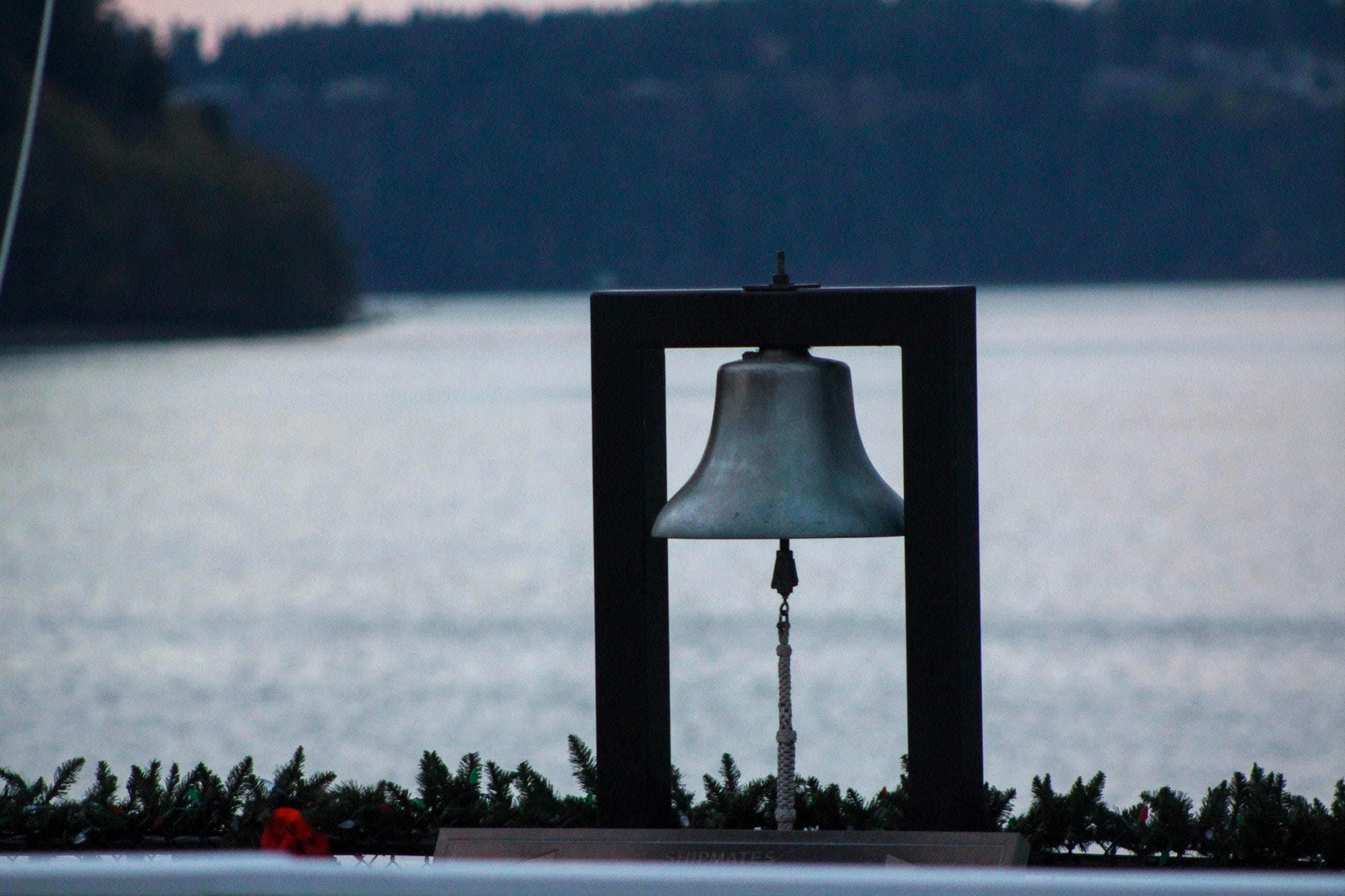 A blue grey at the shore of lake shrouded in grey sunset A blue grey at the shore of lake shrouded in grey sunset