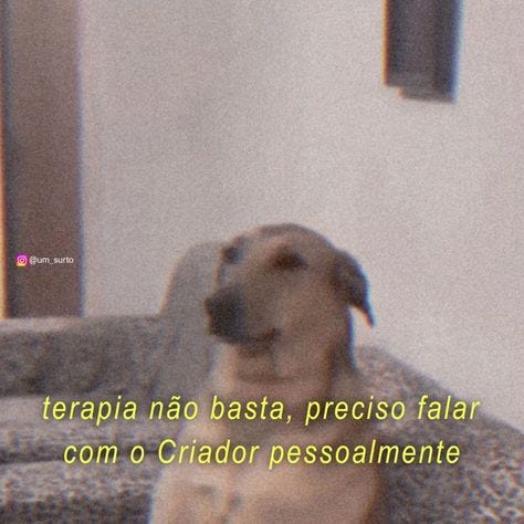 Contém uma imagem de: 
