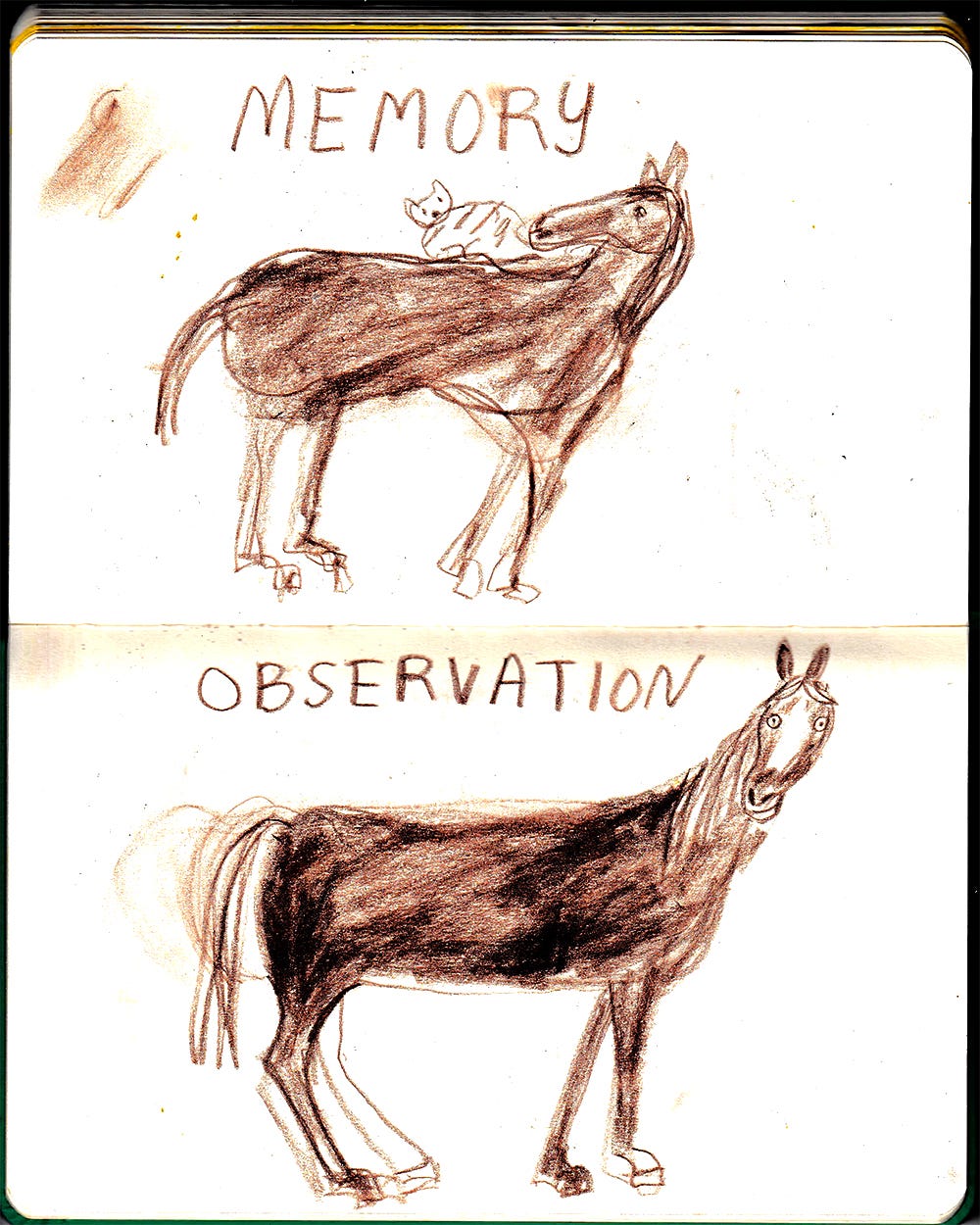 horse drawn from memory and horse drawn from observation