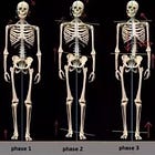 What this does to your body