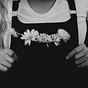 Petals and Teeth's avatar