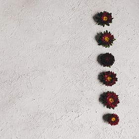 I Want to Remove Duplicates from a Python List • How Do I Do It?