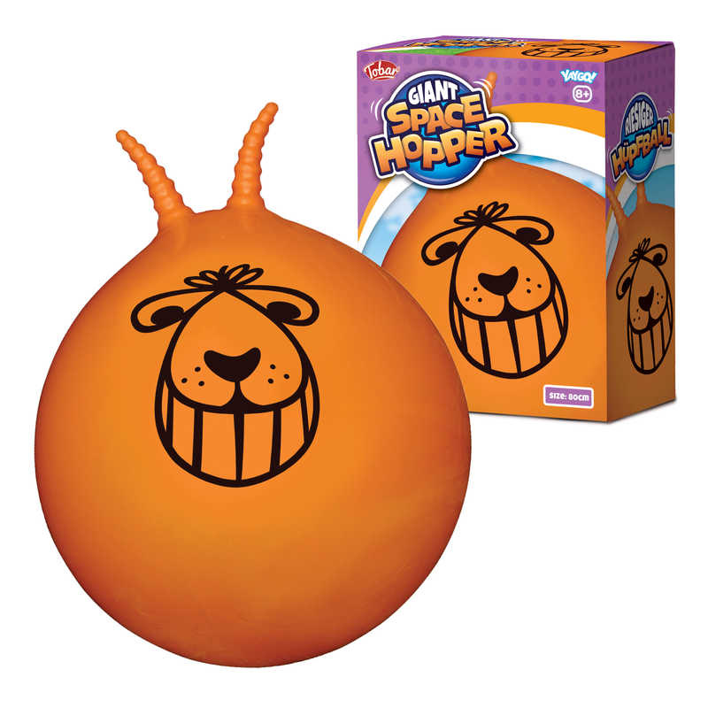 Space Hopper Image