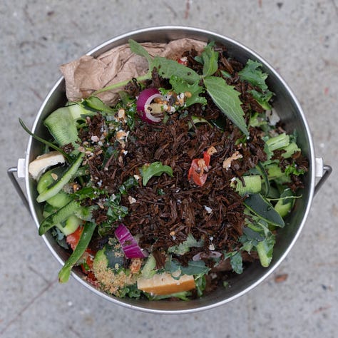 Triptych: The buckets of fruit & vegetable scraps in a row. in