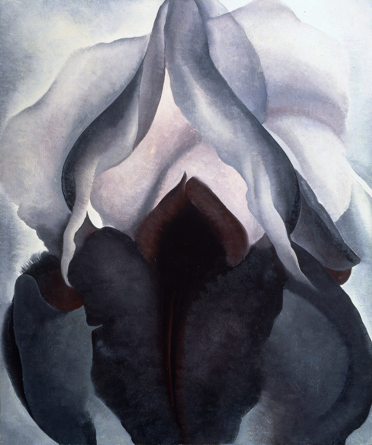 Georgia O'Keeffe, Black Iris, 1926. The Metropolitan Museum of Art, New York. Georgia O'Keeffe, Black Iris, 1926. The Metropolitan Museum of Art, New York.