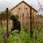 How Many Ways Can I Say, "It's Pruning Season"