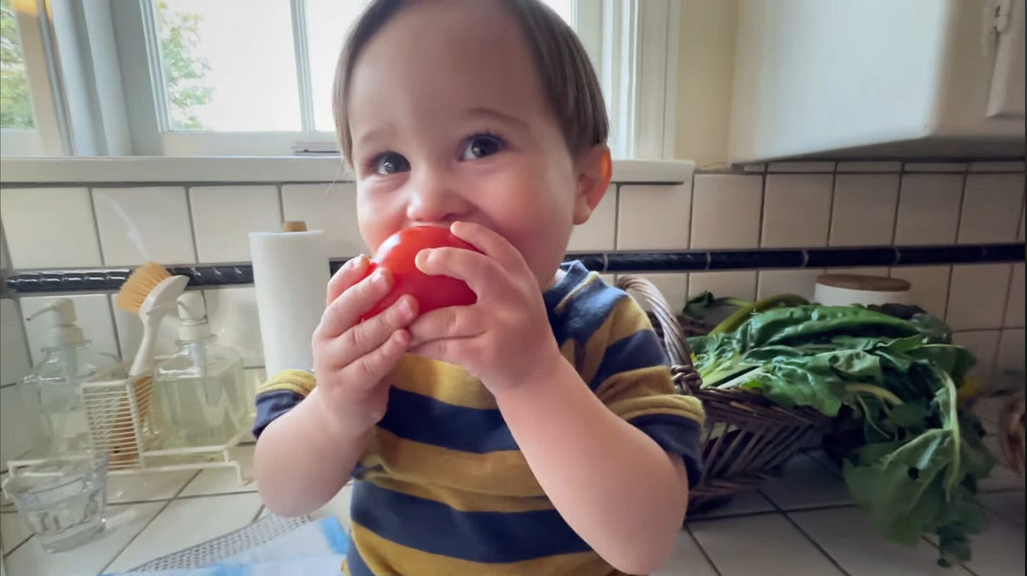 Google Gemini's "New Home" Super Bowl 2026 ad: A Visual Redemption or  Artificial Comfort? - DAILY COMMERCIALS