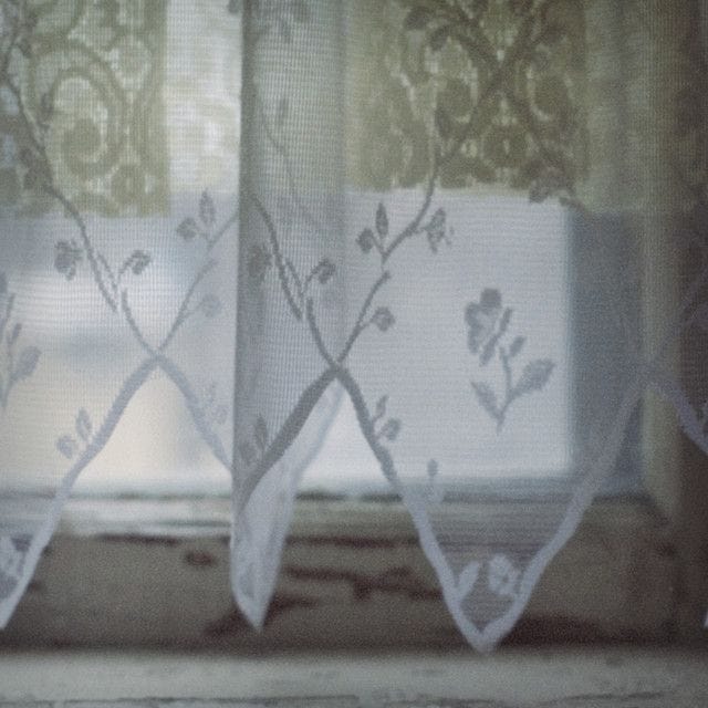 May be an image of lace