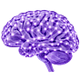 Sally Carr: NeuroFutures's avatar