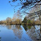 Make Ilkley Tarn Great Again? Duck off