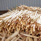 Notes From The Asparagus Festival