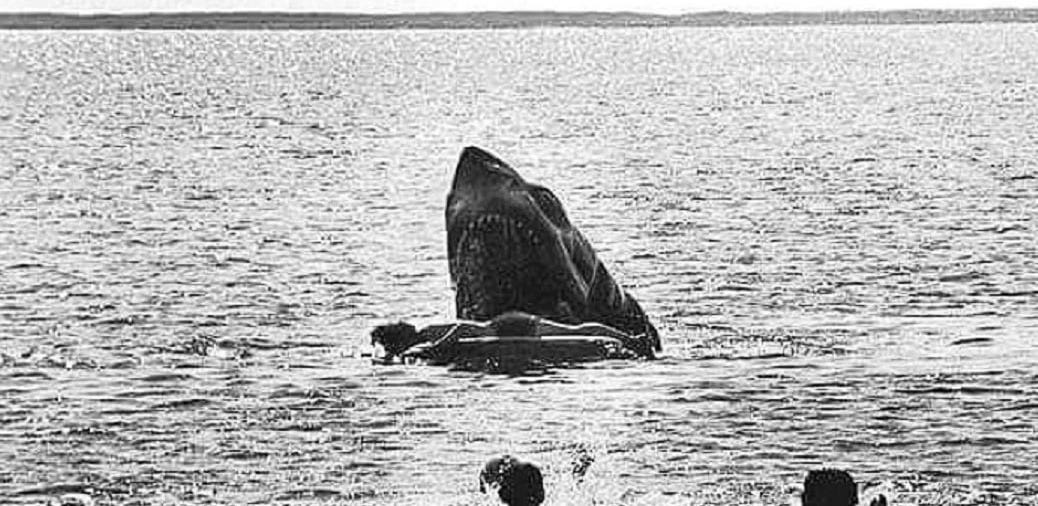 Here's the Story Behind THAT Nightmarish Unused Death Scene from 'JAWS' - Bloody Disgusting Here's the Story Behind THAT Nightmarish Unused Death Scene from 'JAWS' - Bloody Disgusting