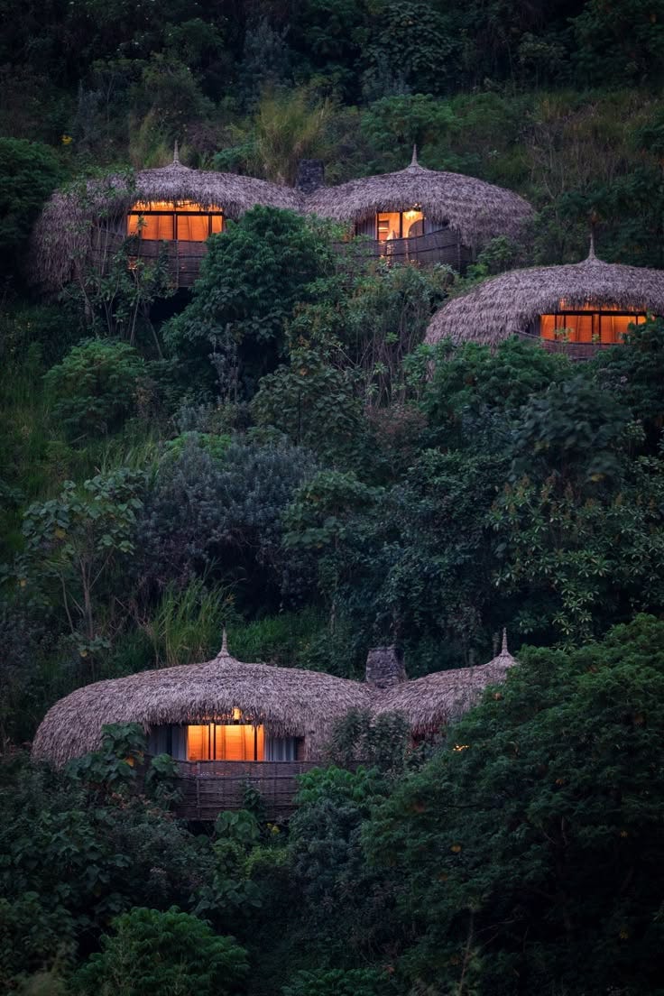 This contains: Staying in the jungle huts at Bisate Lodge in Rwanda. A luxury hotel where guests can trek to see the mountain gorillas of Africa. 