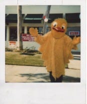 polaroids, 1990s, coming of age