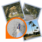 From Idea to Inbox: Discover the Process Behind This Newsletter