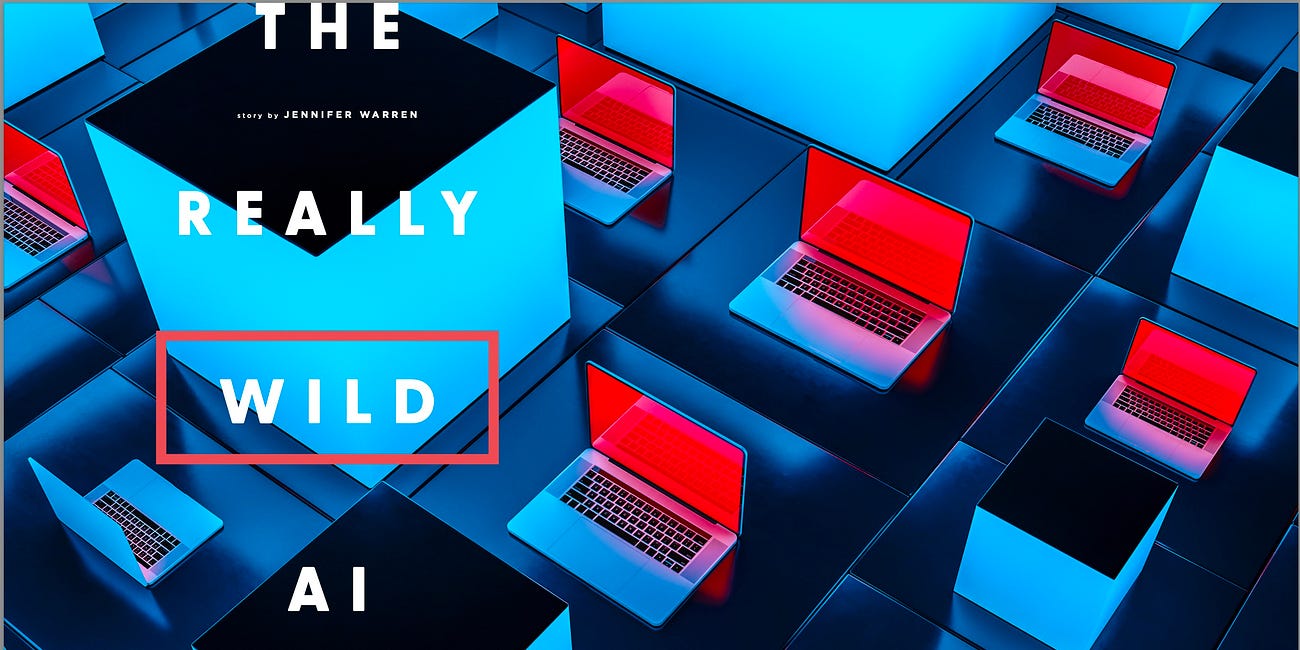 Portfolio: The Really Wild AI Ride