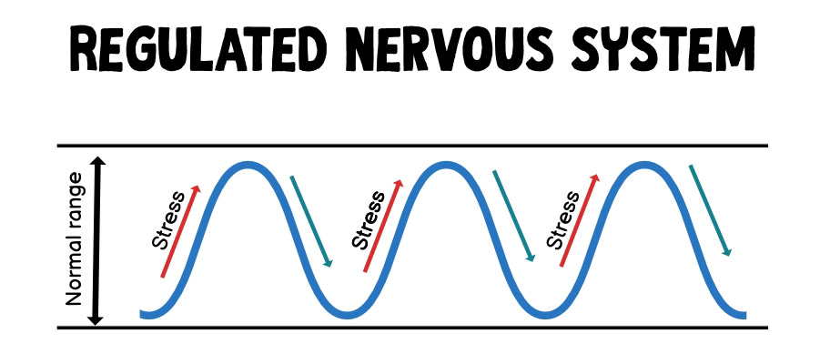 Aheathy nervous system oscillates over a range known as the window of tolerance