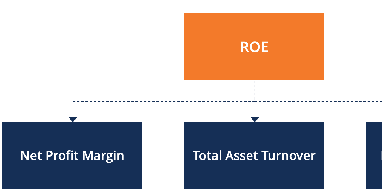 O Substack de Pedro | Substack