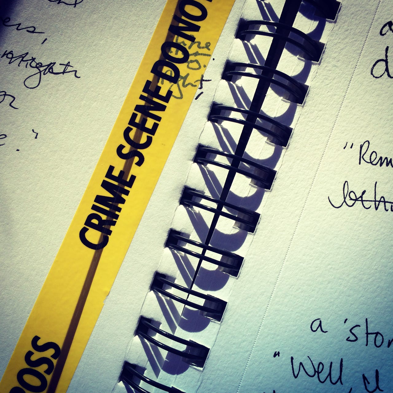 Thoughts Scribbled in a Notebook