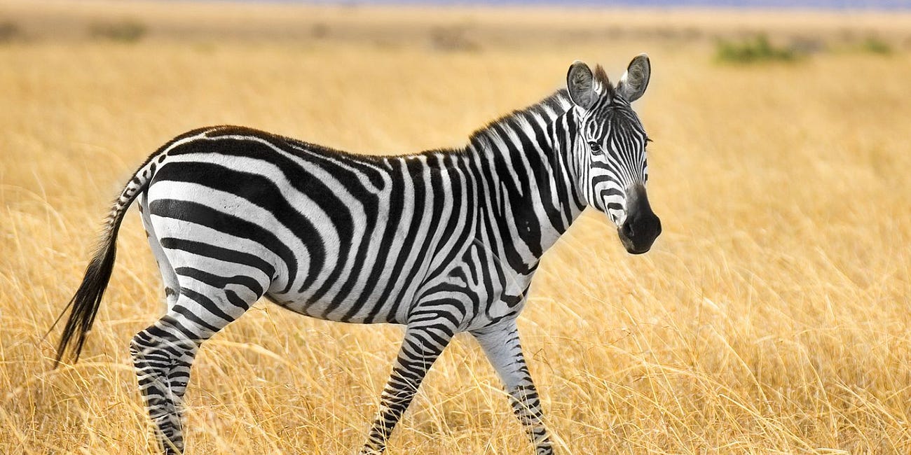 Festivals of Light and Holiday Delight: Sparkling Conversation Starters for Holiday Season