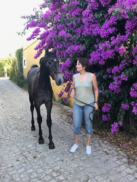 woman with small dark foal on lead, walking on cobbled lane