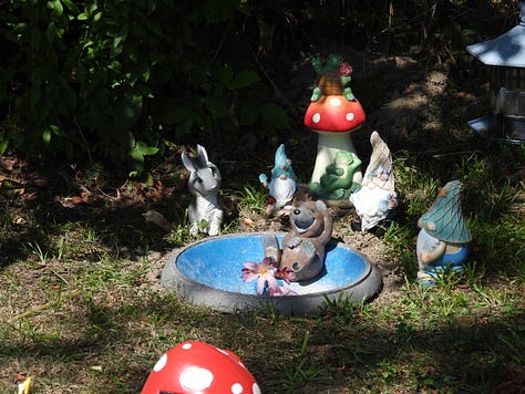 Gnometon pool party
