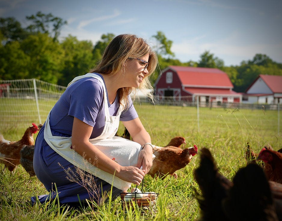 Rebecca gathering eggs here on the farm Rebecca gathering eggs here on the farm