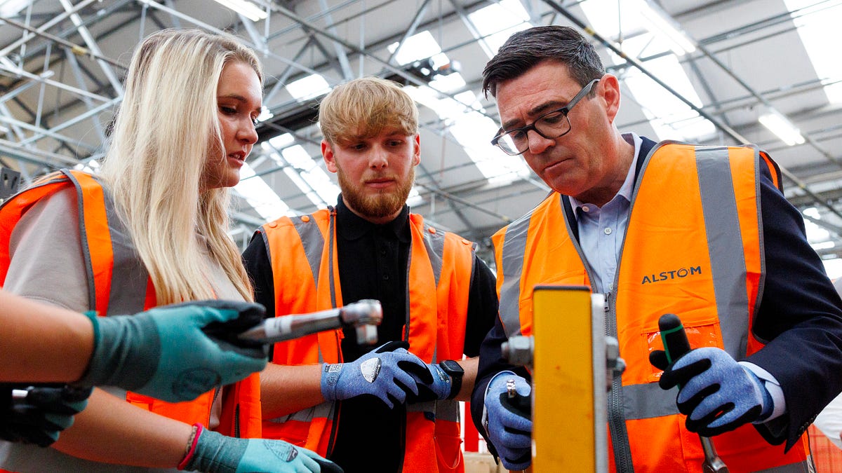 Burnham is right: less people should go to university