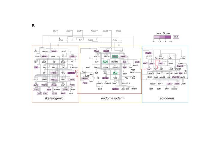 Evolution of Complex Phenotypes and Regulatory Networks