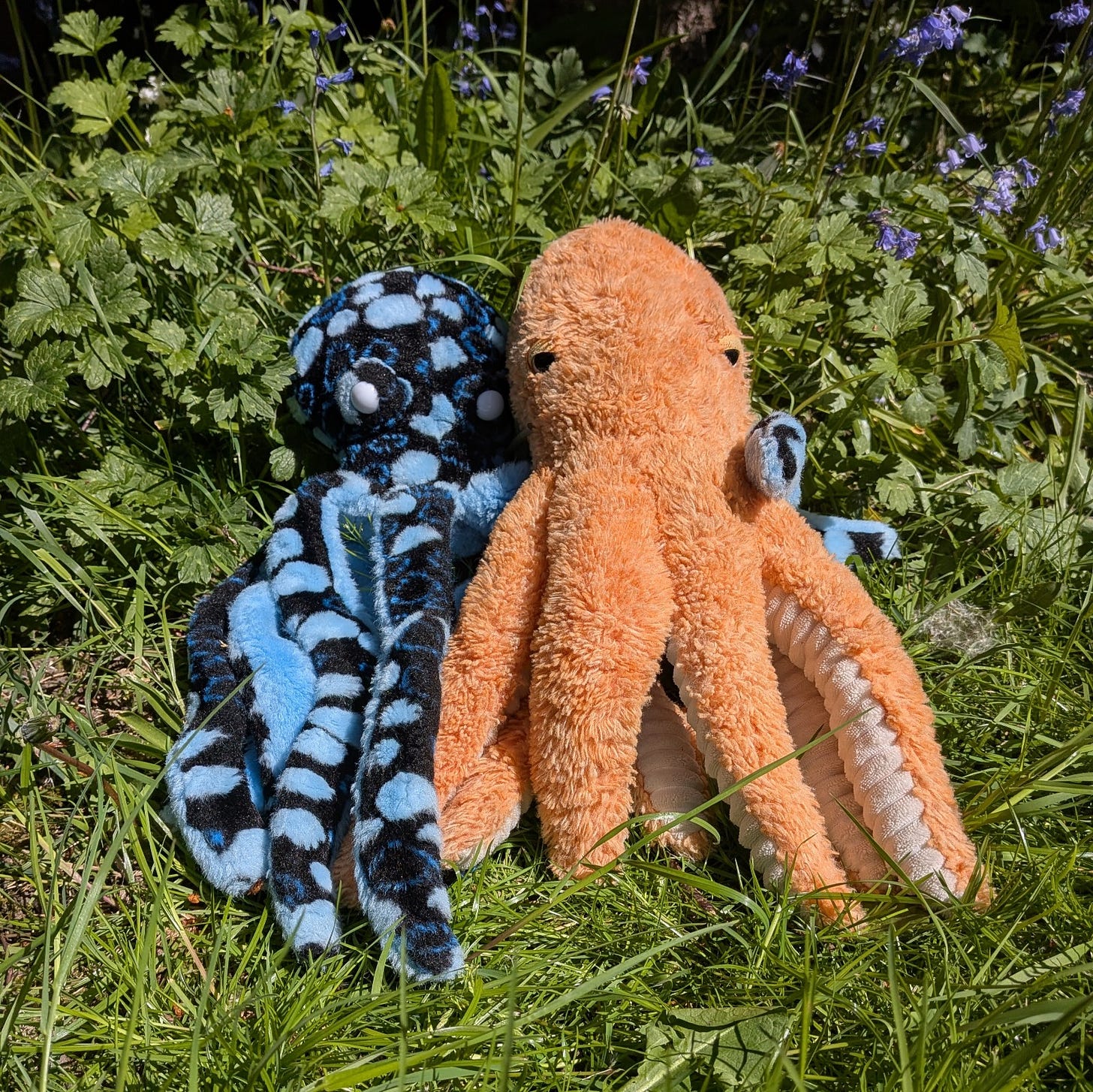 Two octopus plush toys sitting together in long grass and bluebells, one blue and black and the other orange, photographed in bright sunlight.