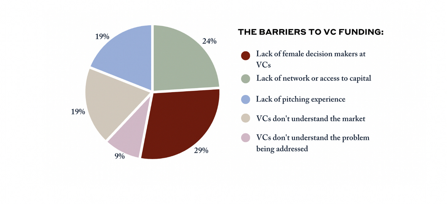 Female Founder Report - Understanding Barriers to Fundraising — Pink Salt  Ventures