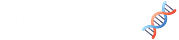 Sinapsis