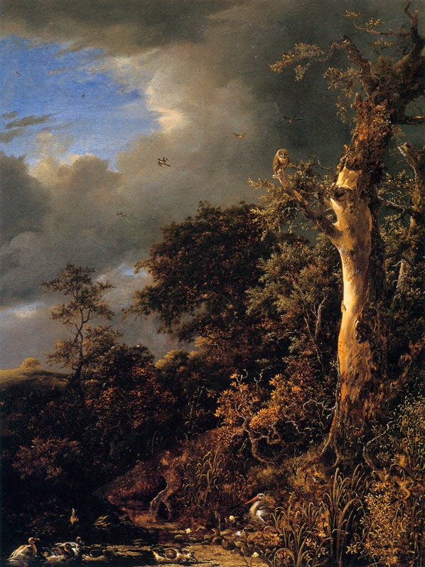 A massive old oak tree spreads over a still pool in a wide Dutch landscape A massive old oak tree spreads over a still pool in a wide Dutch landscape